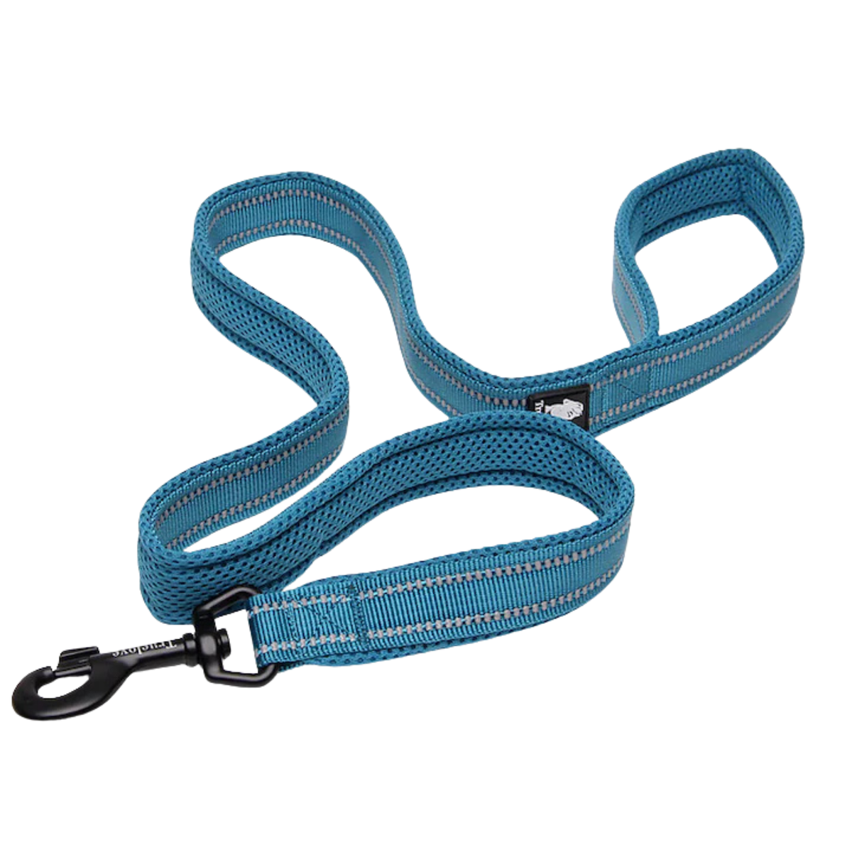 Truelove Classic Dog Leash - Blue