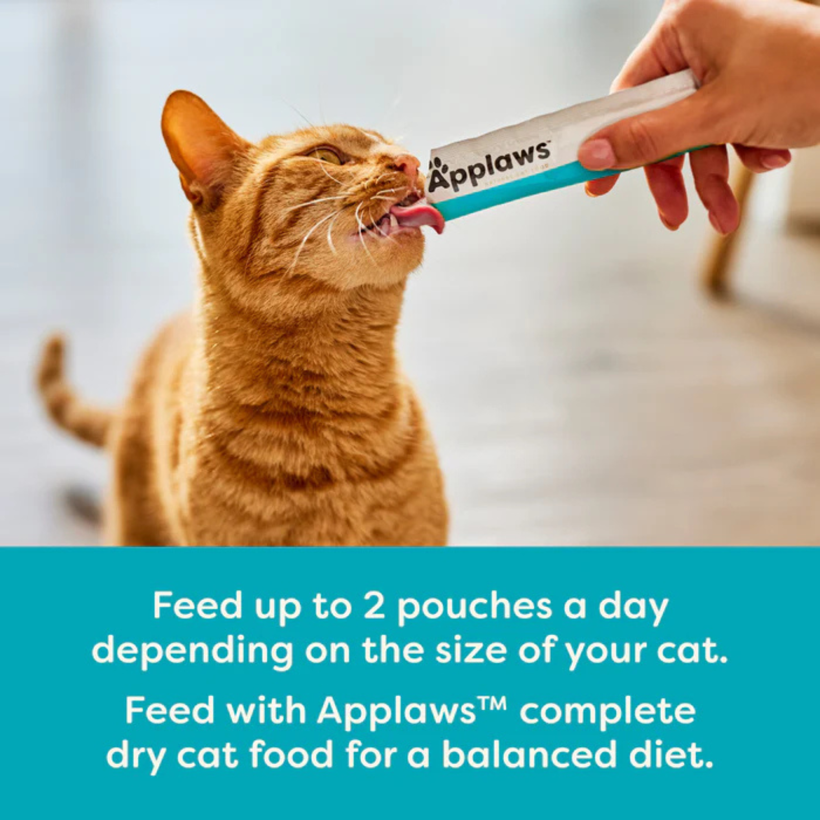 Applaws Natural Grain-Free Complementary Wet Cat Treats – Tuna Recipe Lickable Treats product image 7 - Rufftail Pune