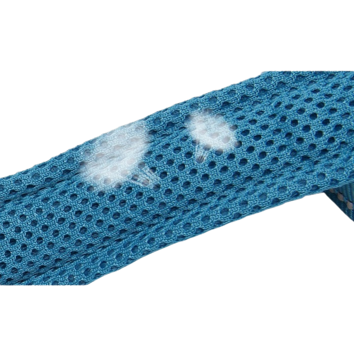 Truelove Classic Dog Leash - Blue