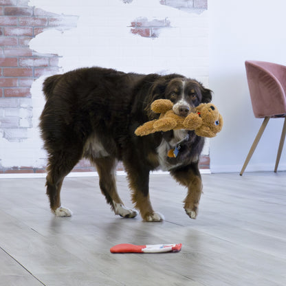 Kong Comfort Pups Goldie Super-Soft & Squeaky Dog Toy - Rufftail