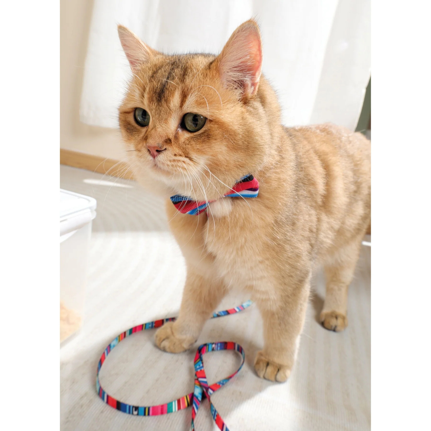 M-Pets Urban Style Jazz Stripes Bow Tie - Yellow (XS-S)
