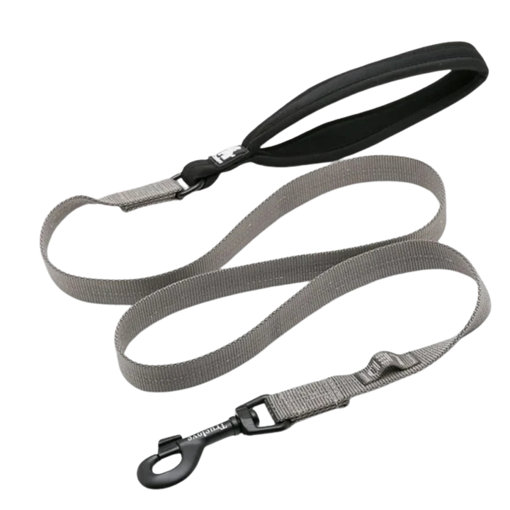 TRUELOVE Nylon Dog Leash - Gray