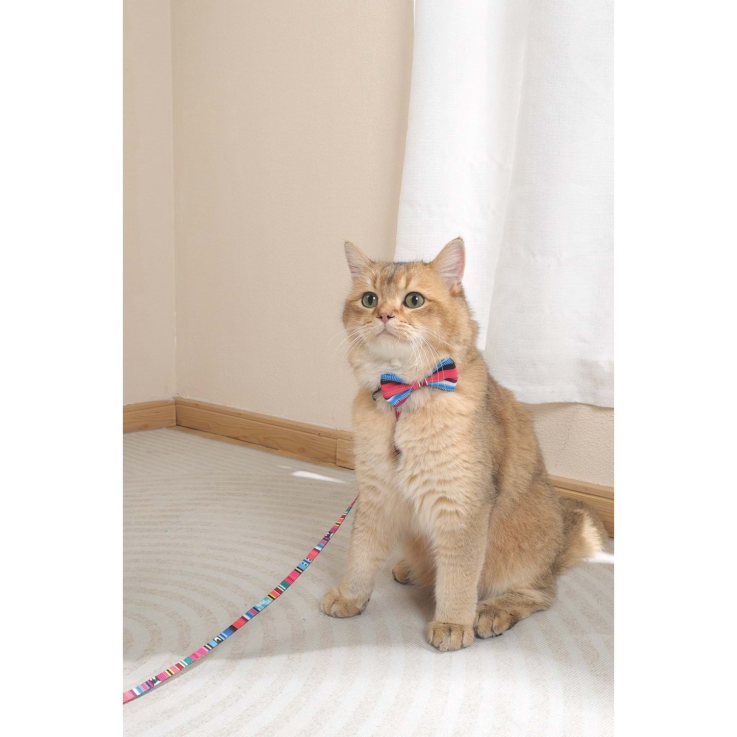 M-Pets Urban Style Jazz Stripes Bow Tie - Yellow (XS-S)