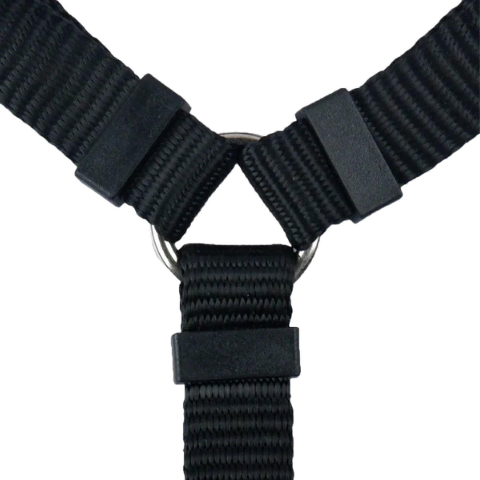 Trixie Premium H Harness - Black - Rufftail