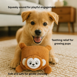 Barkbutler x Fofos Soft & Squeaky Monkey Puppy Toy