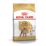 Royal Canin Poodle Adult Dry Dog Food Aged 10 Months (Buy 1 Get 1 Free)