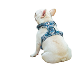 Floral No-Pull Dog Harness Cordura Fabric - Saxony Blue