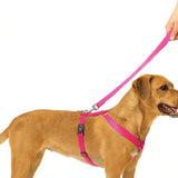 Trixie Premium Adjustable Lead- All Dog Leash product image 5 - Rufftail Pune