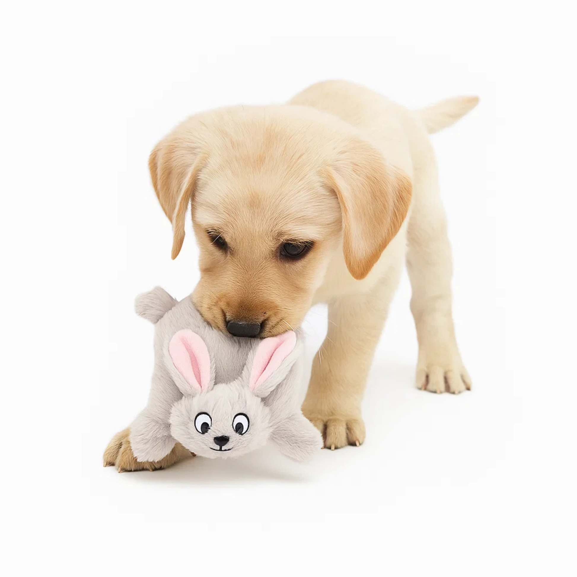 Barkbutler x Fofos Soft & Squeaky Rabbit Puppy Toy – Rufftail