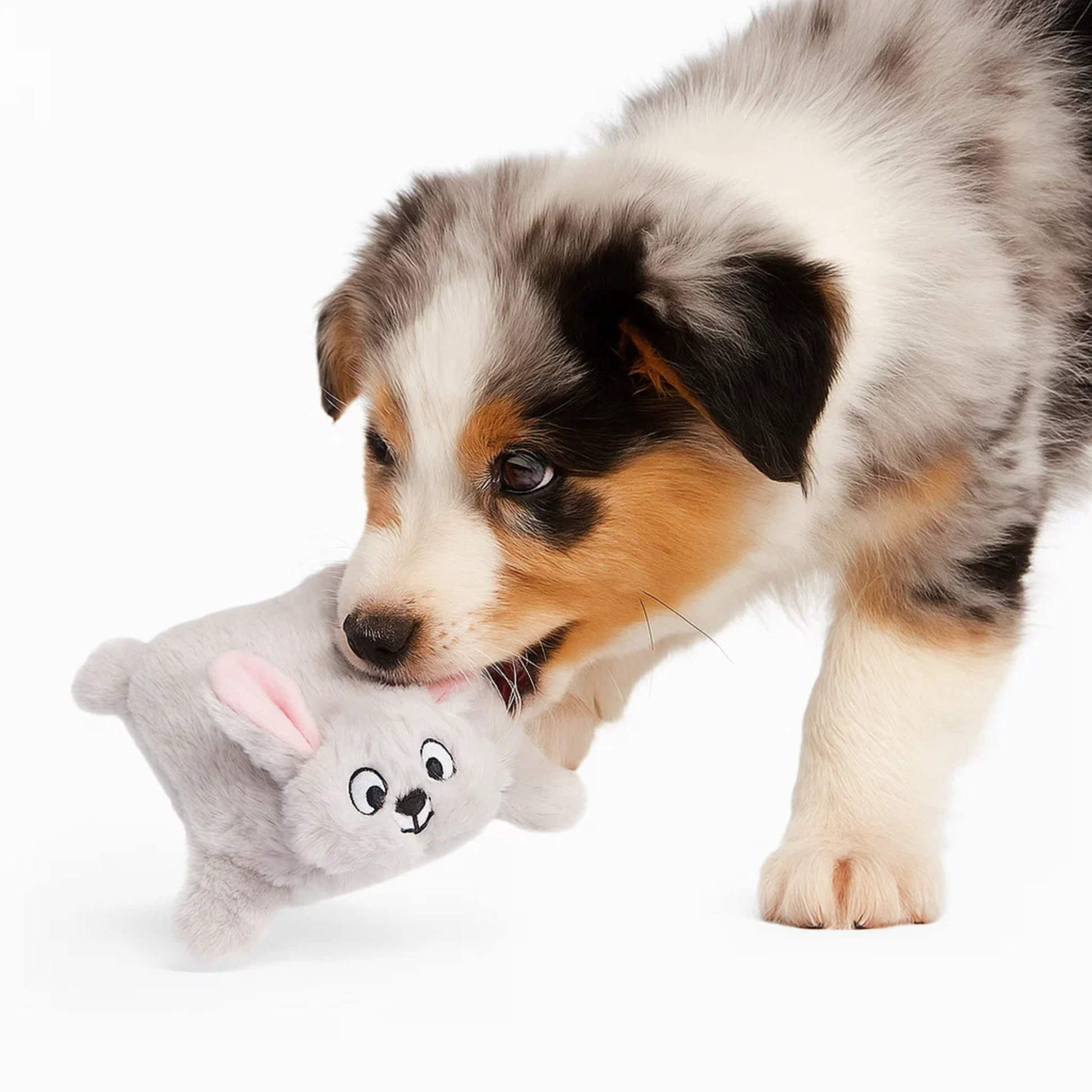 Barkbutler x Fofos Soft & Squeaky Rabbit Puppy Toy – Rufftail