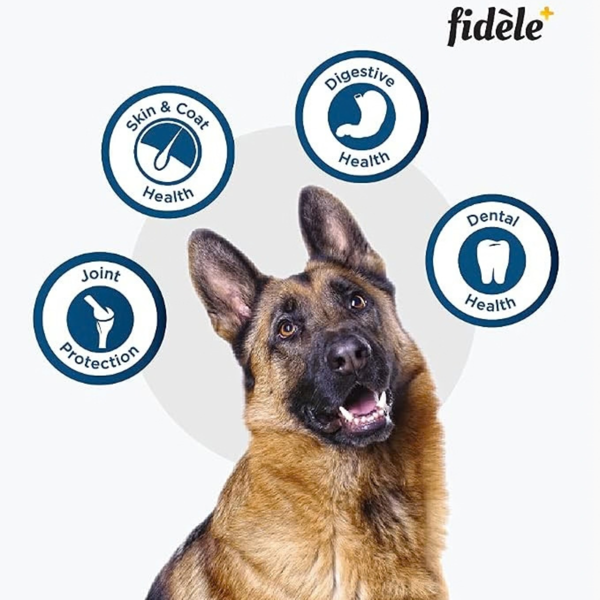 Fidele+ Large Adult Dry Dog Food For Large Breed 2.7 KG