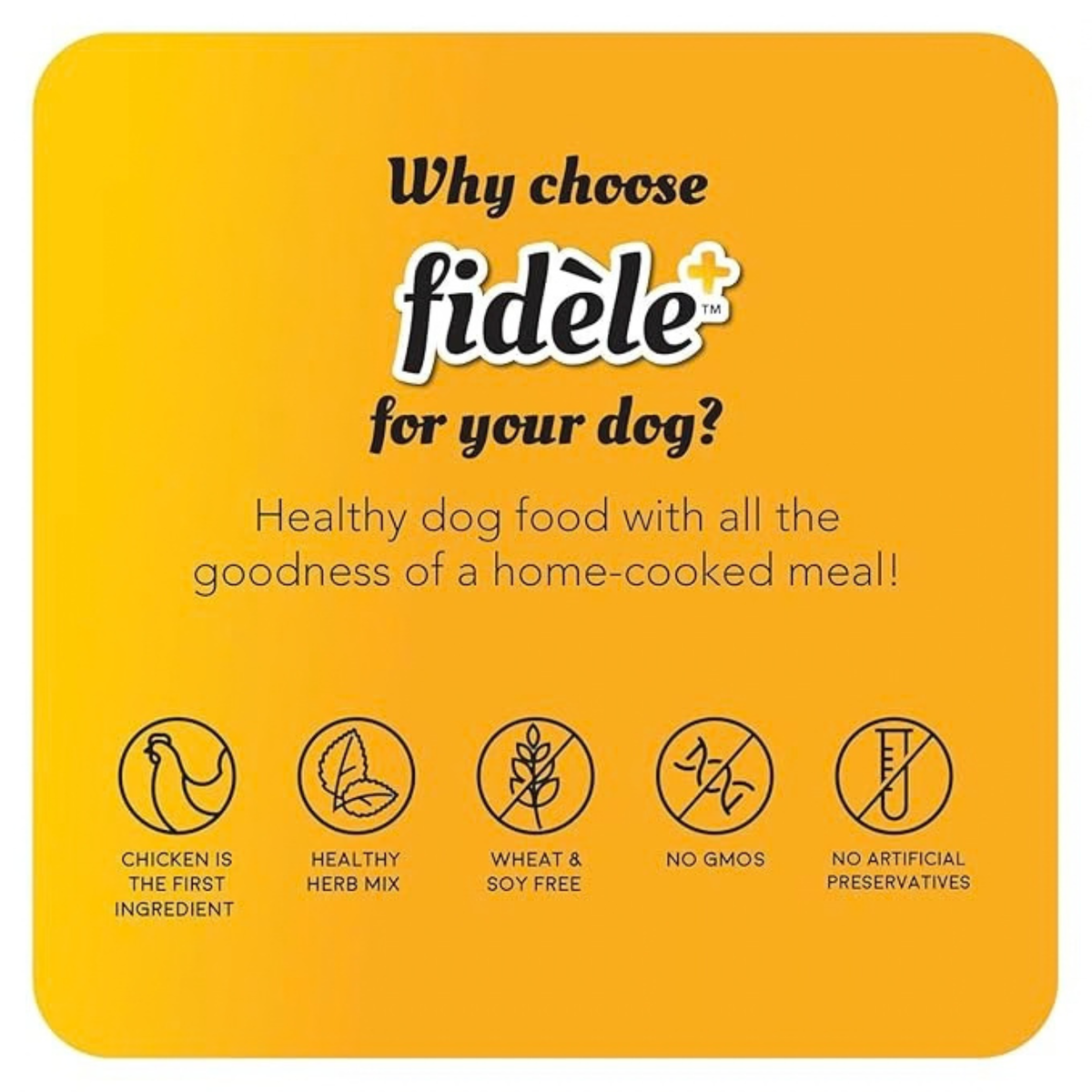 Fidele+ Large Adult Dry Dog Food For Large Breed 2.7 KG