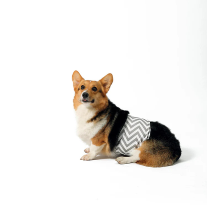 M-Pets Washable Male Dog Diaper