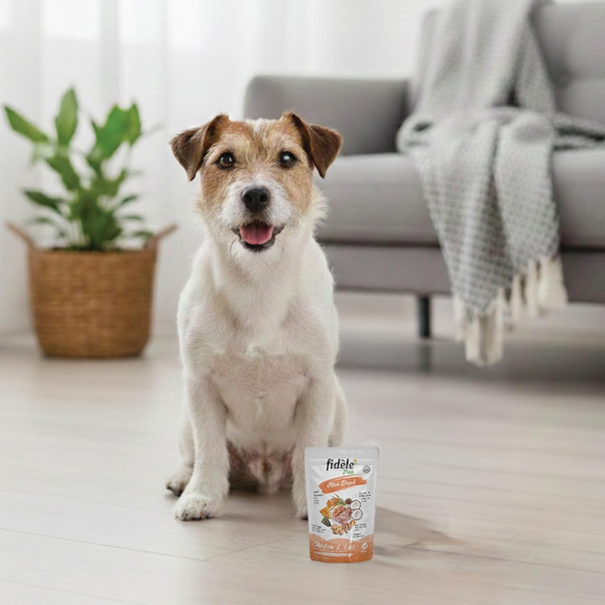 Fidele+ Fresh Chicken & Egg With Vegetables For Mini Breed (12x70g)