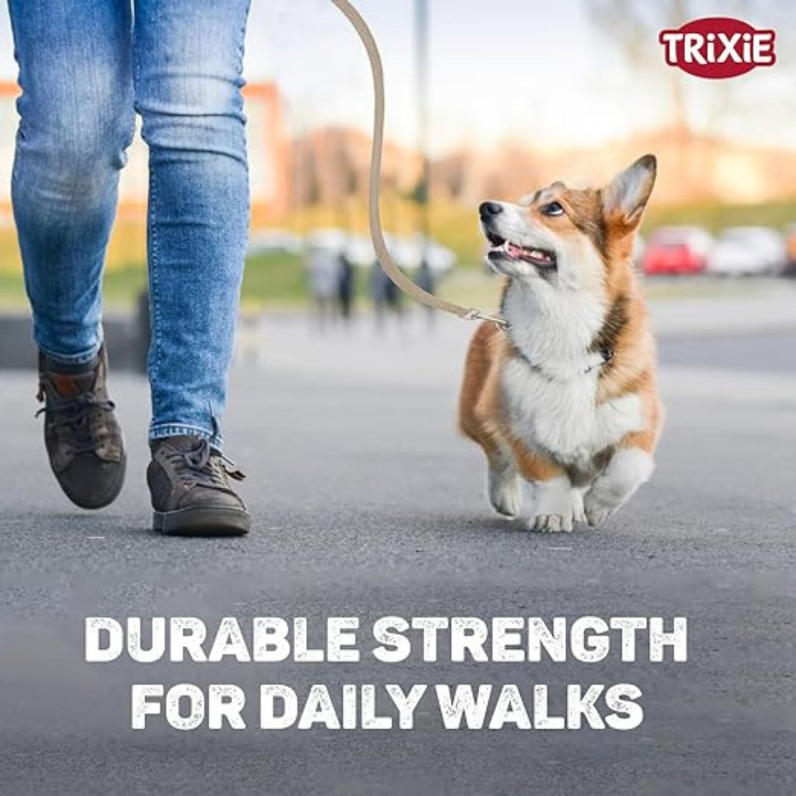 Trixie Premium Extra Long Dog Leash - Black M-L