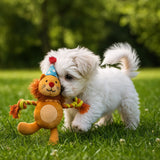 Barkbutler x FOFOS Fluffy Puppy Toy Lion - Rufftail