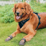 Truelove Reflective Waterproof & TPR Sole Dog Shoes - Set Of 4 Pinecone/Glazed Ginger - Rufftail