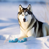 Truelove Reflective Waterproof & TPR Sole Dog Shoes- Set of 4 Algiers Blue/Lavender product image 8 - Rufftail Pune