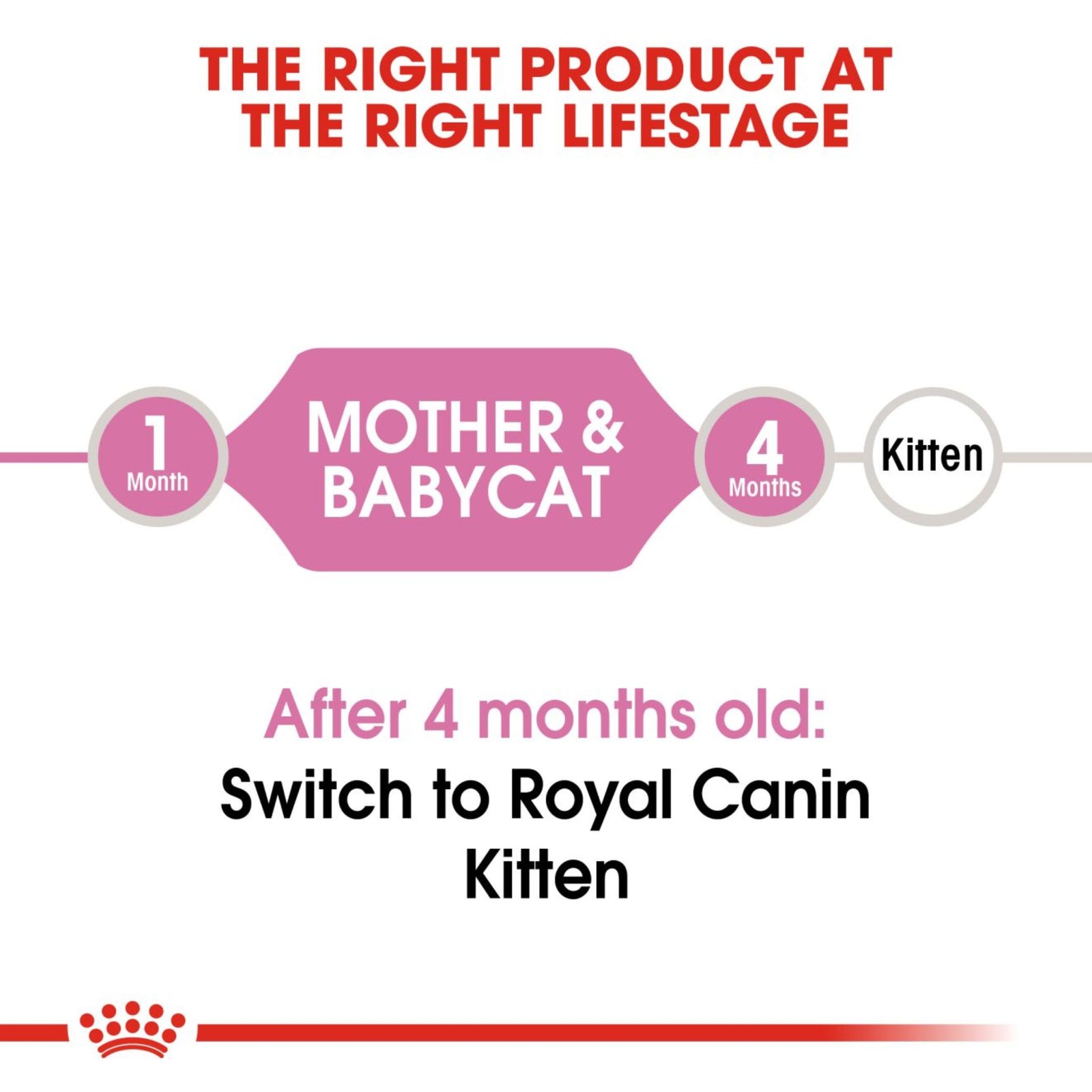 Royal Canin Dry Mother & Babycat Food – Cat Food Dry - Rufftail