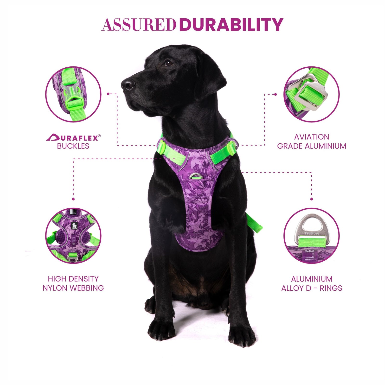 Truelove No-Pull Special Edition Harness for Dogs- Camouflage Purple product image 4 - Rufftail Pune