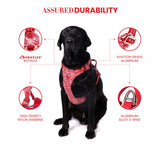 Truelove Floral No Pull Pet Harness for Dogs product image 9 - Rufftail Pune