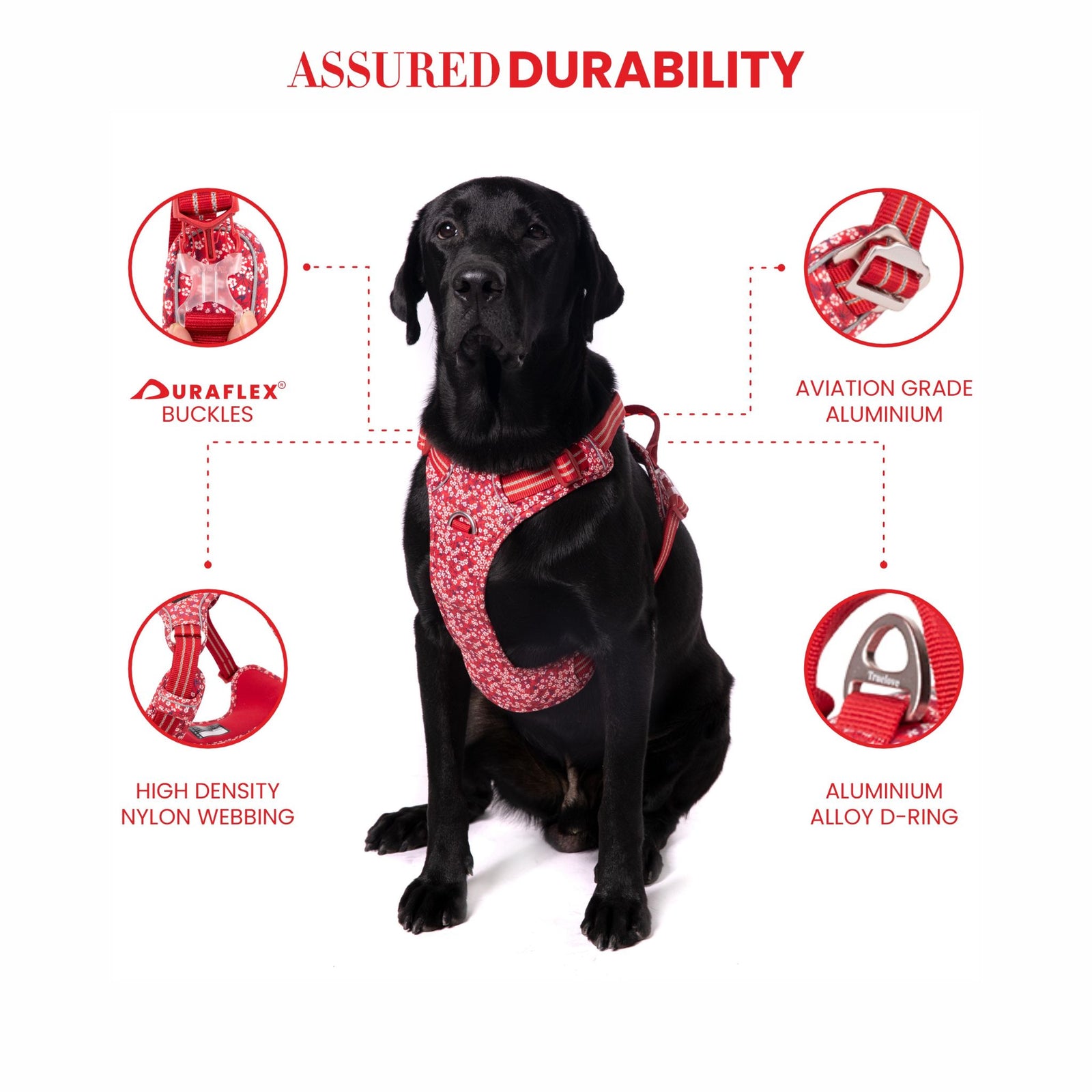 Truelove Floral No Pull Pet Harness for Dogs product image 9 - Rufftail Pune
