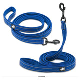 Truelove Classic Dog Leash blue product image - Rufftail Pune