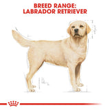 Royal Canin Dry Labrador Retriever Adult Complete feed for dogs - Rufftail