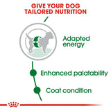 Royal Canin Dry Mini Adult Complete feed for dogs - Rufftail