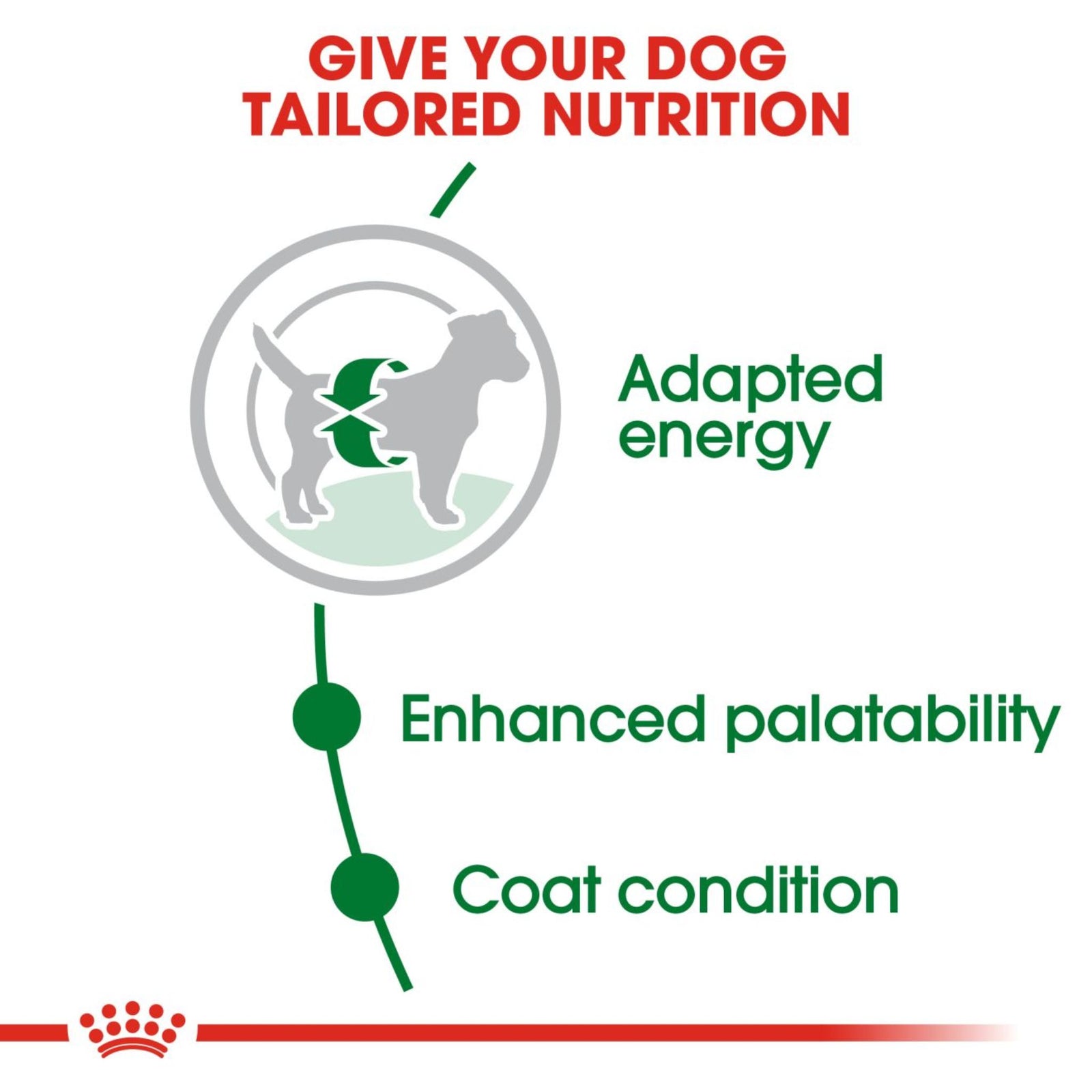 Royal Canin Dry Mini Adult Complete feed for dogs - Rufftail