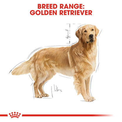 Royal Canin Dry Golden Retriever Adult Complete feed for dogs - Rufftail