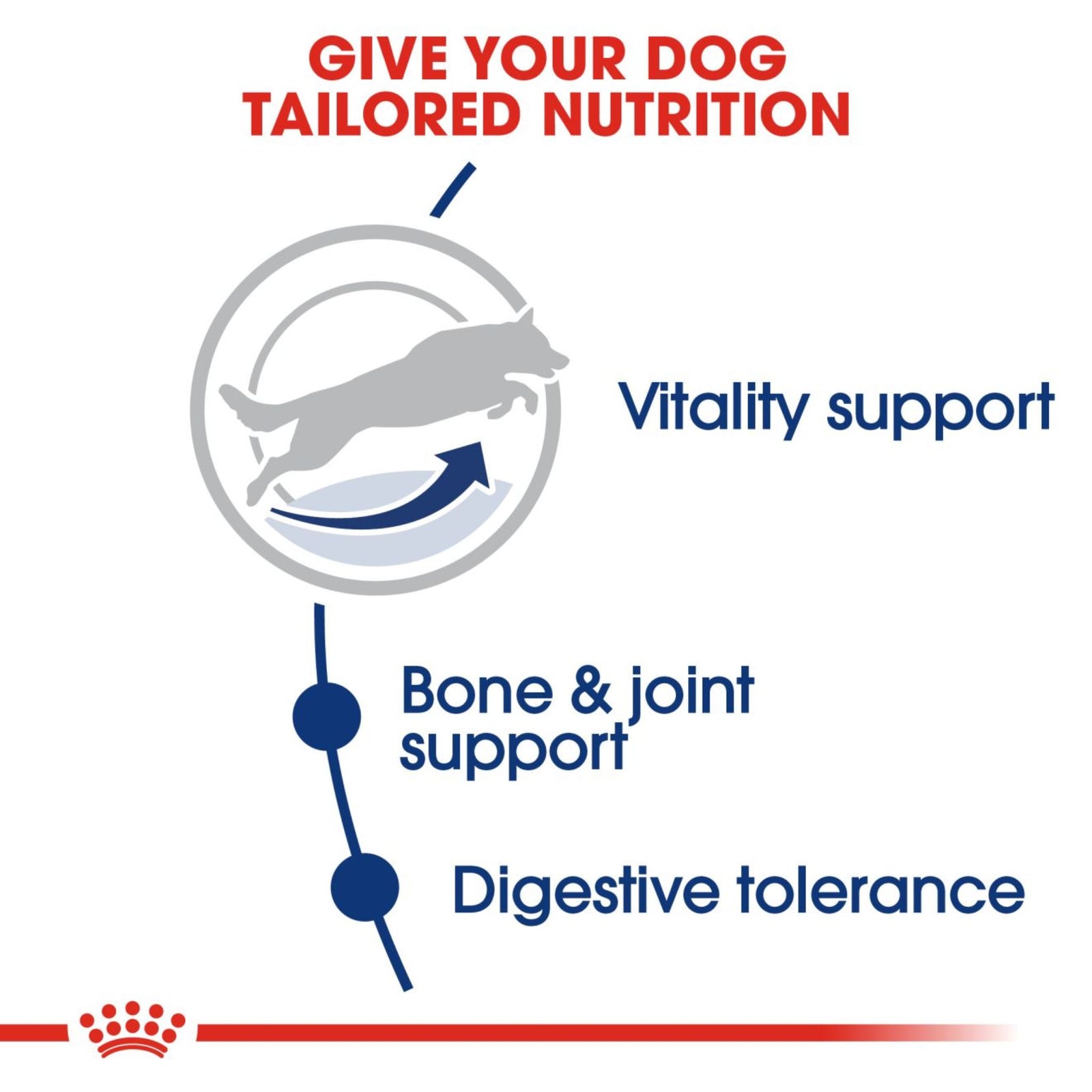 Royal Canin Dry Maxi Adult 5+ Complete feed for dogs - Rufftail
