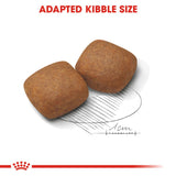 Royal Canin Dry Giant Junior Complete feed for dogs - Rufftail