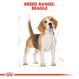 Royal Canin Dry Beagle Adult Complete feed for dogs - Rufftail