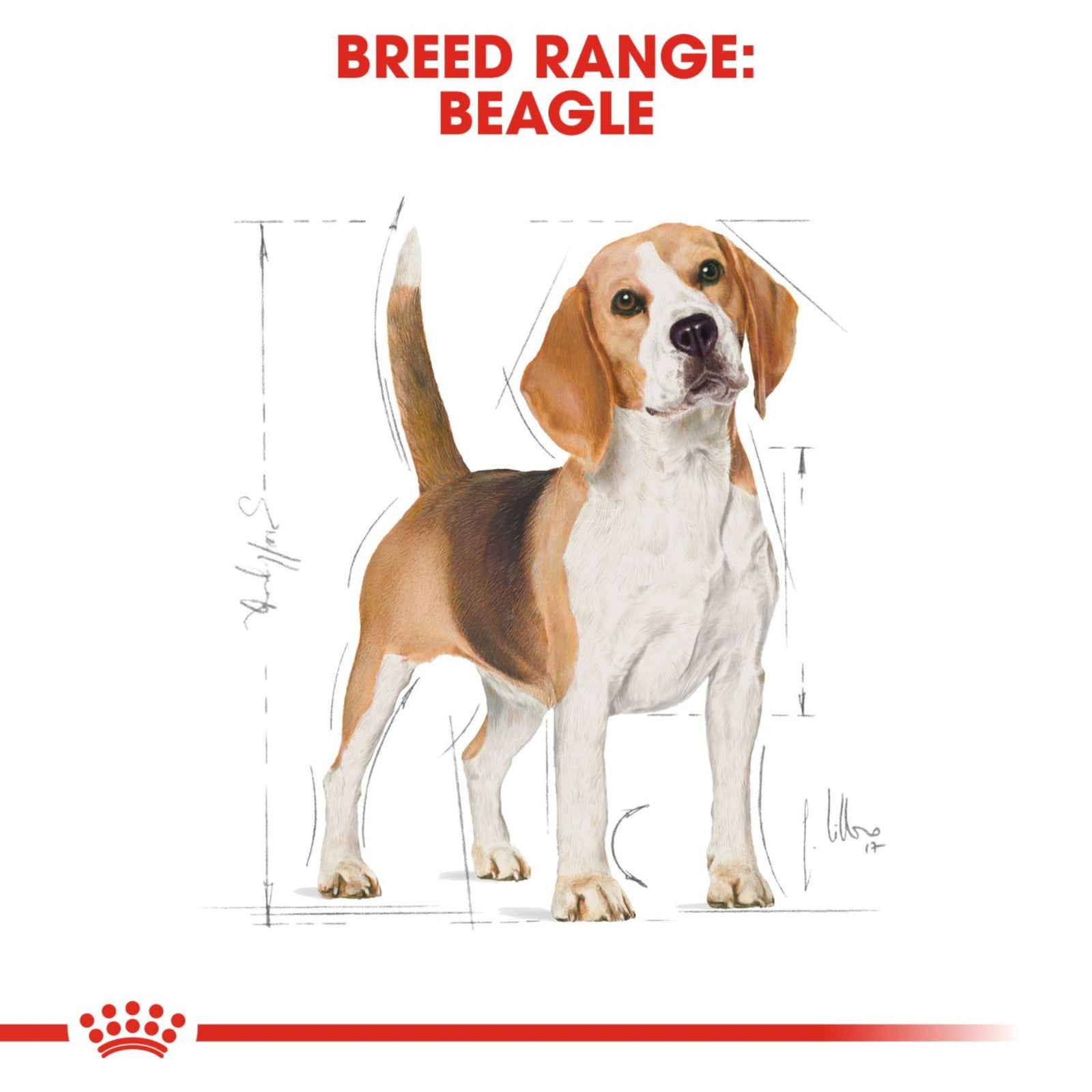 Royal Canin Dry Beagle Adult Complete feed for dogs - Rufftail