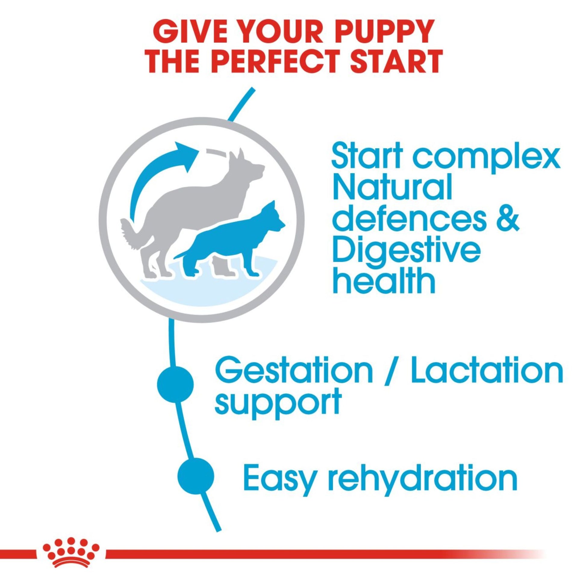 Royal Canin Dry Maxi Starter Complete feed for dogs - Rufftail