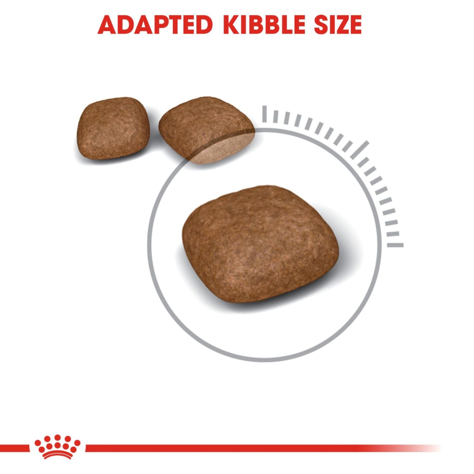 Royal Canin Dry Urinary Care Balanced and complete feed for cats - Rufftail