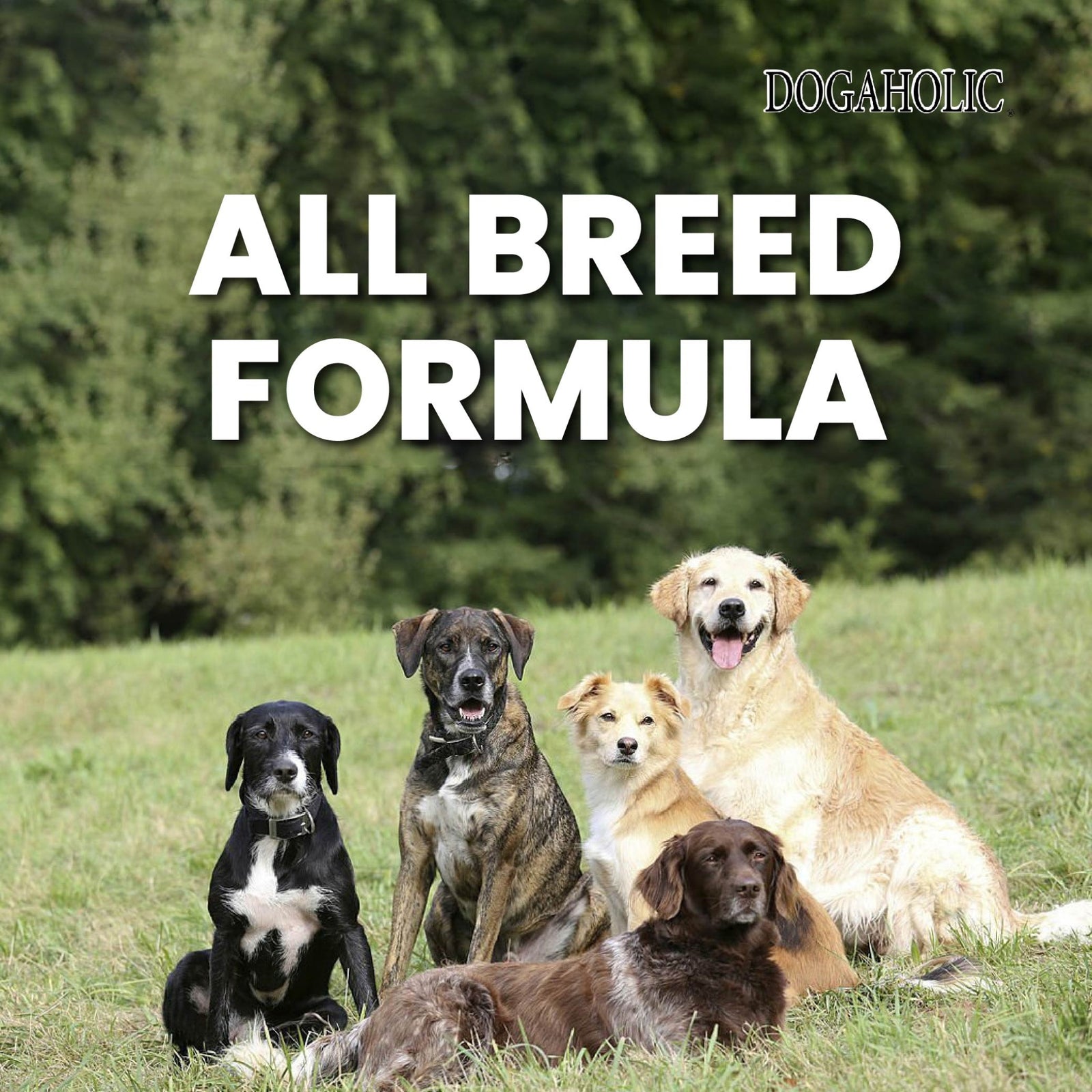 Dogaholic, Chicken Bacon Noodles Max Chicken Bacon Strips BBQ 130g - Rufftail