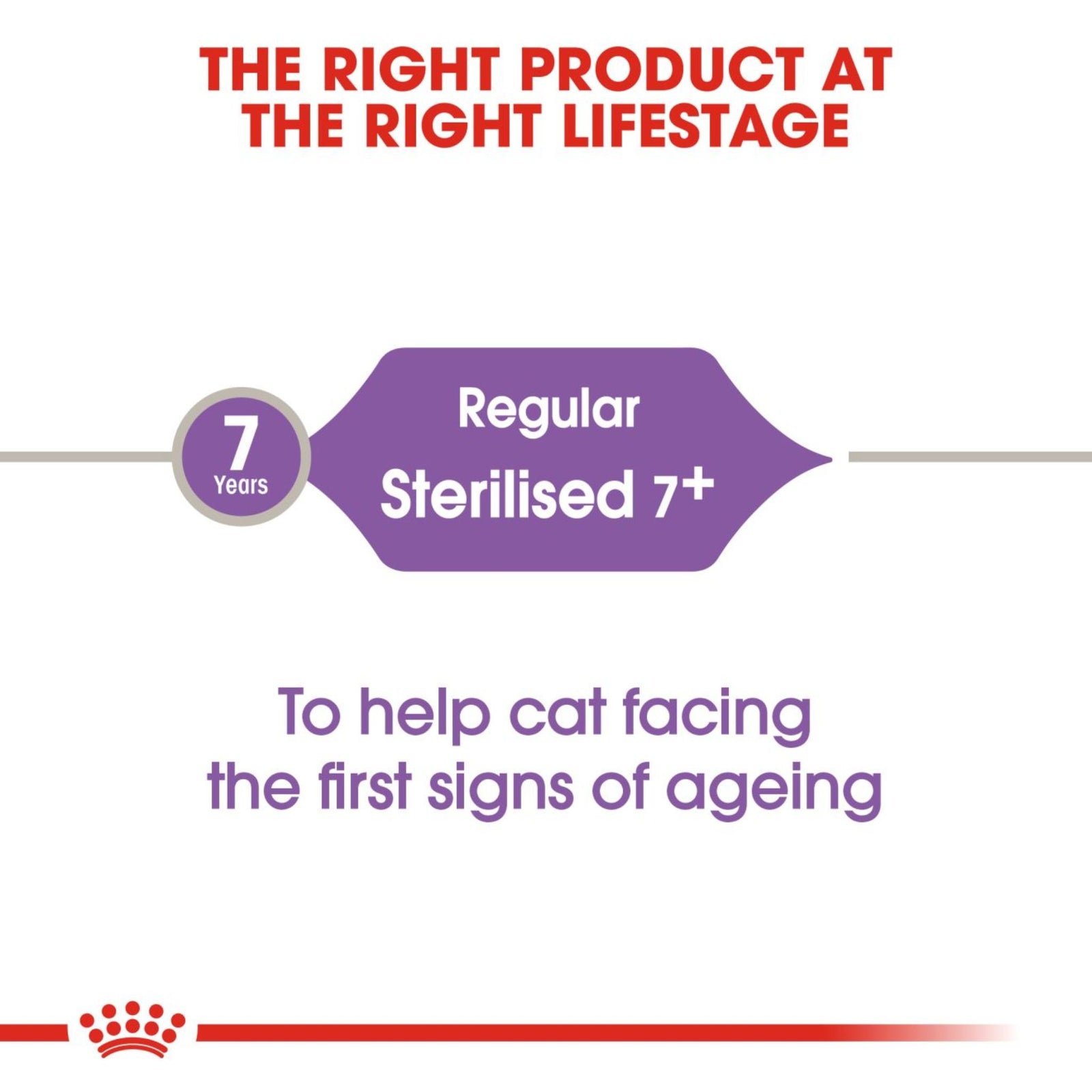 Royal Canin Regular Sterilised 7+ Dry Cat Food (1.5 kg) product image 4 - Rufftail Pune