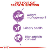 Royal Canin Regular Sterilised 37 Dry Cat Food (2kg) product image 3 - Rufftail Pune