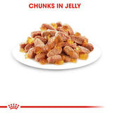 Royal Canin Wet Kitten Jelly Complete Feed For Cats (12x85g) product image 8 - Rufftail Pune