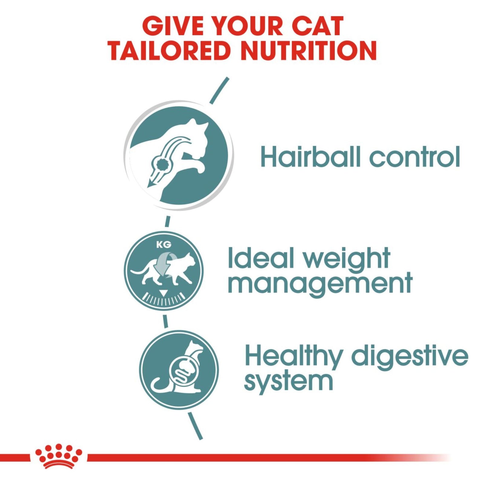 Royal Canin Wet Hairball Care Gravy Complete Feed For Cats (12x85g) product image 3 - Rufftail Pune