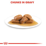 Royal Canin Wet Maxi Adult Dog Complete feed for Dogs product image 5 - Rufftail Pune