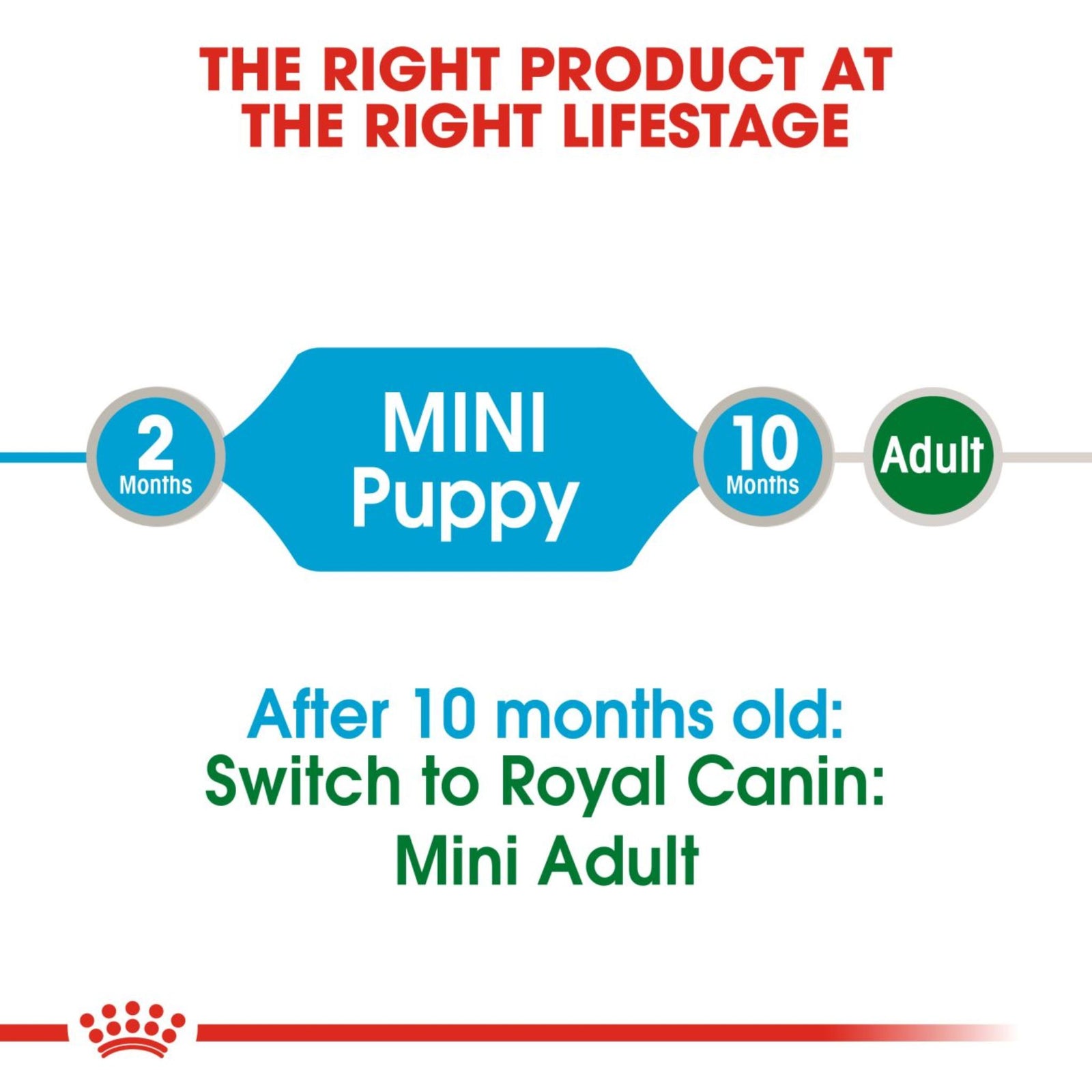 Royal Canin Wet Mini Puppy Dog Complete feed for Dogs - Rufftail