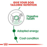 Royal Canin Mini Adult Gravy Wet Dog Food- 12 x 85g product image 3 - Rufftail Pune
