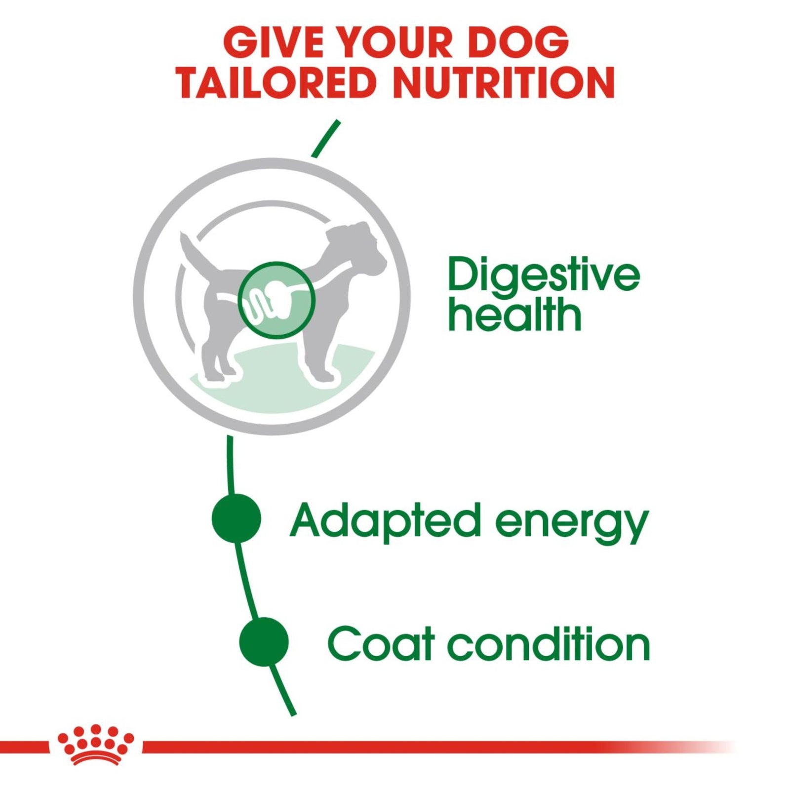 Royal Canin Mini Adult Gravy Wet Dog Food- 12 x 85g product image 3 - Rufftail Pune