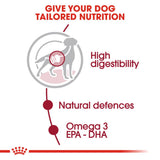 Royal Canin Medium Adult Gravy Wet Dog Food- 10 x 140g product image 4 - Rufftail Pune