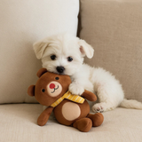 Barkbutler x FOFOS Fluffy Puppy Toy Bear- BROWN - Rufftail