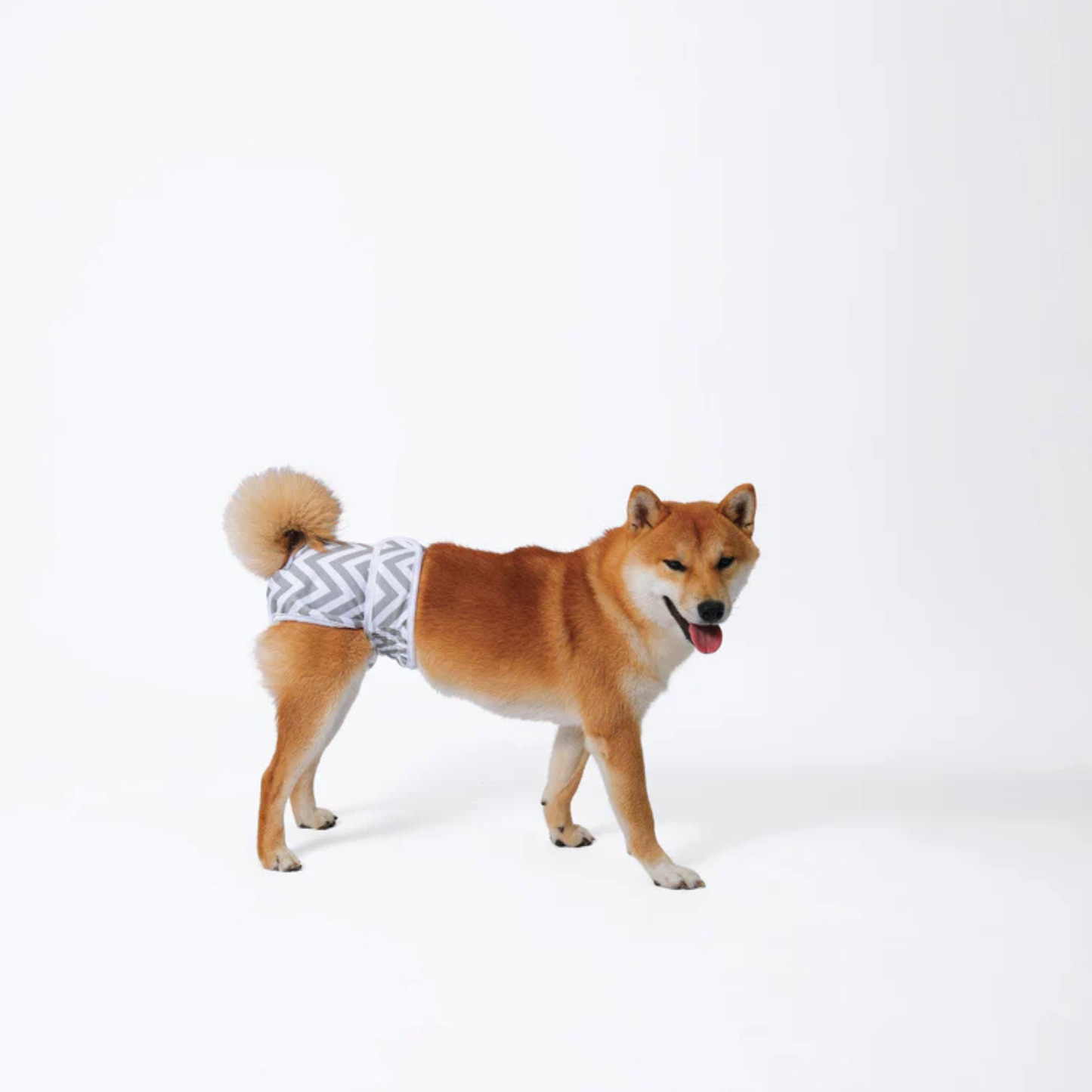 M-Pets WASHABLE DIAPERS - Female Dog