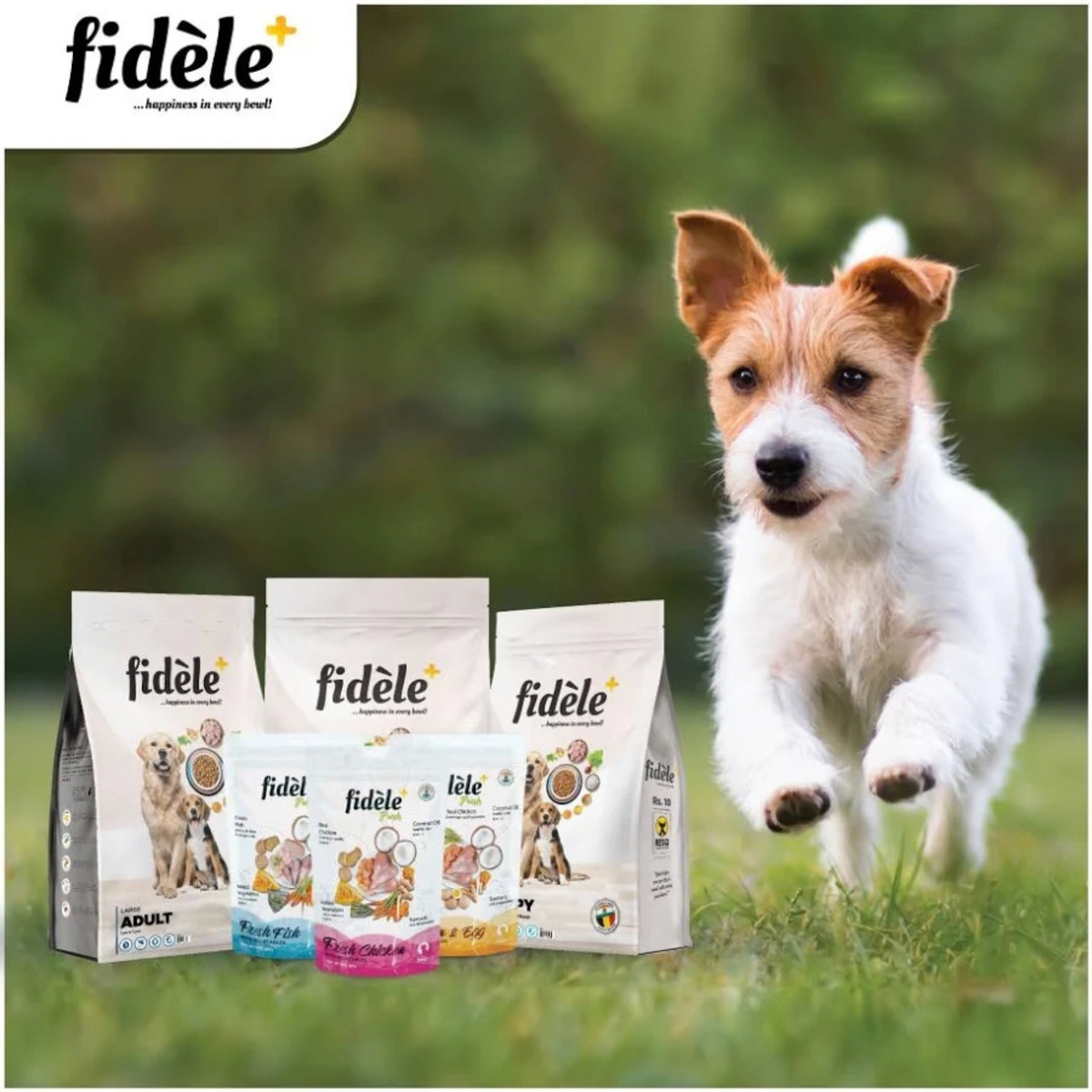 Fidele+ Fresh Chicken With Vegetables (12x100g Pouch)